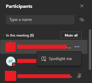Microsoft Teams meeting Spotlight .PNG